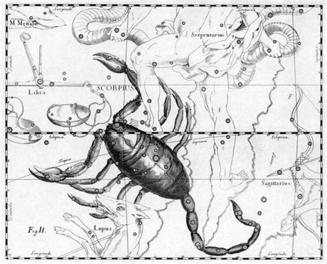 1122星座|『星座物語』11月22日的天蠍座或射手座：崇尚自由 